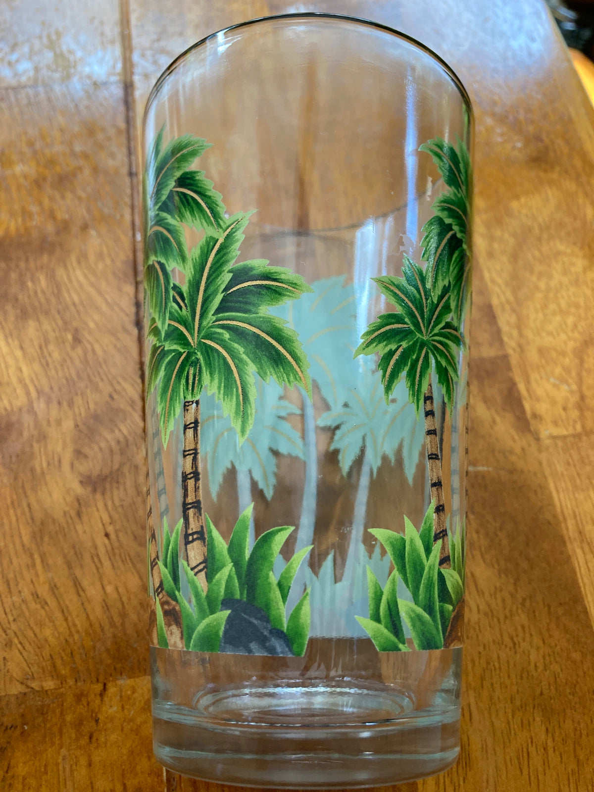 Six Tumbler Clear Glass with Palm Trees Design Acrylic 5.7" tall Set of 6 bundle | eBay