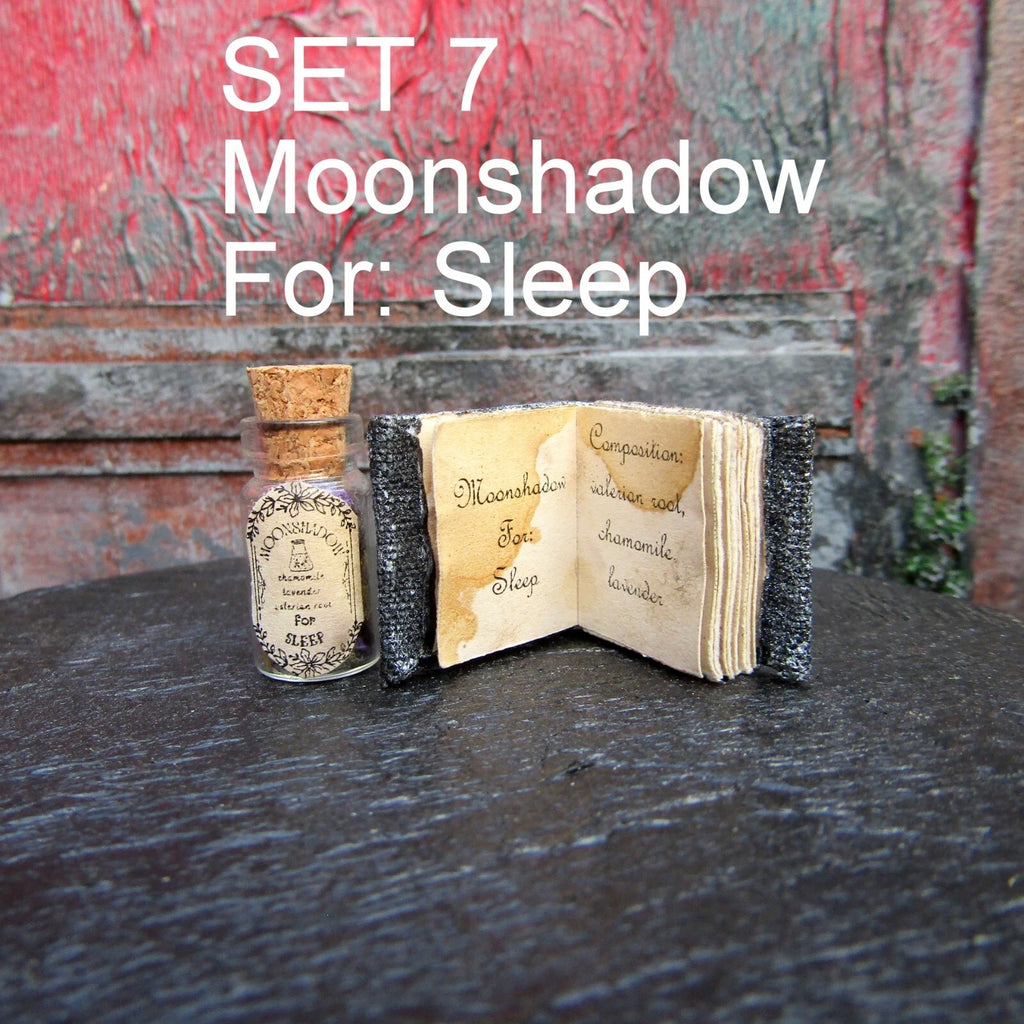 SET Dollhouse miniature Halloween Book and Potion Witch fairy accessory 1/12 1/6 | eBay