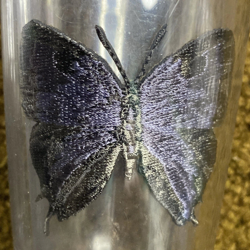 VTG Signature USA Tumblers Butterfly Loon Ladybug Pineapple Apple Patch LOT 6 | eBay