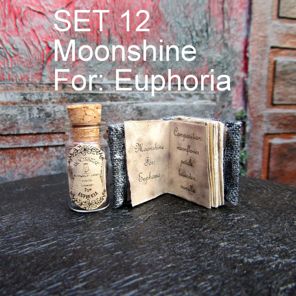 SET Dollhouse miniature Halloween Book and Potion Witch fairy accessory 1/12 1/6 | eBay